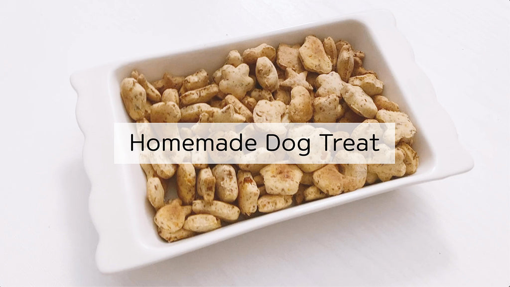 Homemade Dog Treat🐶 Gluten free dog biscuit